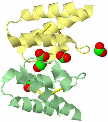 Image Biological Unit 6