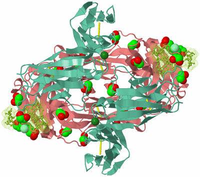 Image Biological Unit 1