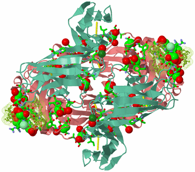 Image Biol. Unit 1 - sites