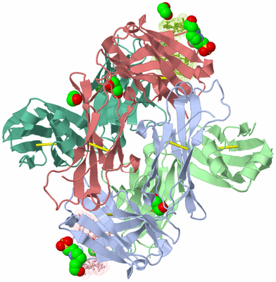 Image Asym./Biol. Unit