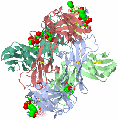 Image Asym./Biol. Unit - sites