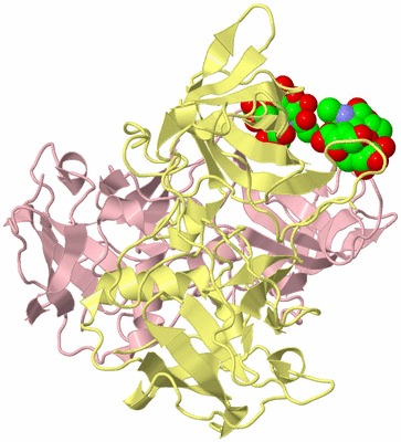 Image Biological Unit 2