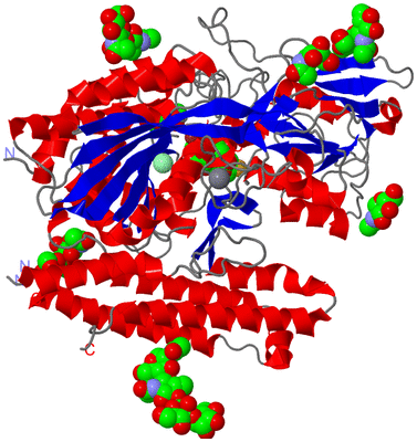 Image Asym./Biol. Unit