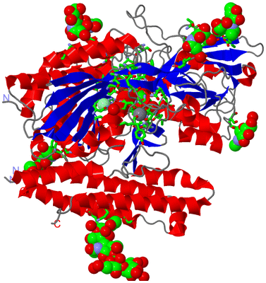 Image Asym./Biol. Unit - sites