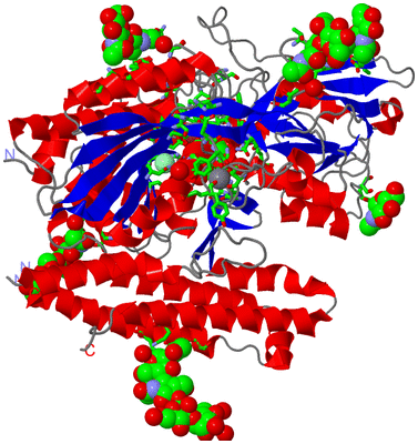 Image Asym. Unit - sites