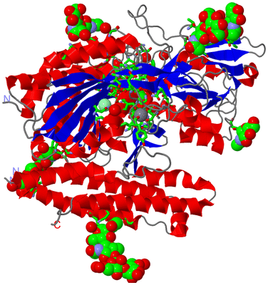 Image Asym. Unit - sites