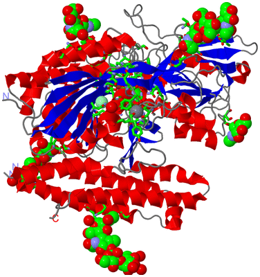 Image Asym. Unit - sites