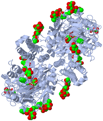 Image Biological Unit 1