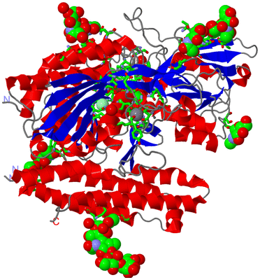 Image Asym. Unit - sites