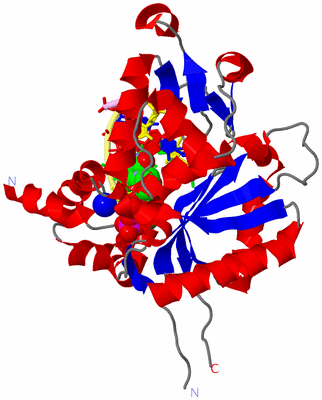 Image Asym./Biol. Unit