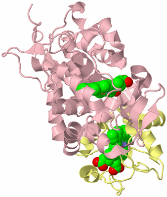 Image Biological Unit 2