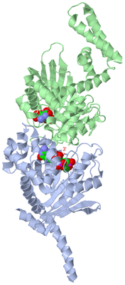 Image Asym./Biol. Unit