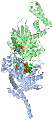 Image Asym./Biol. Unit - sites