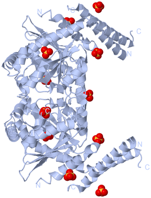 Image Biological Unit 1