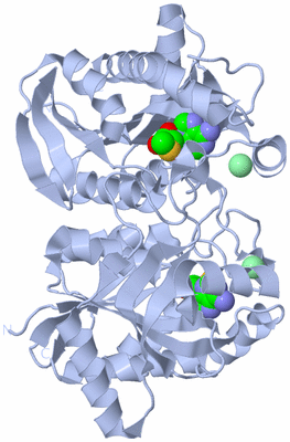 Image Biological Unit 1