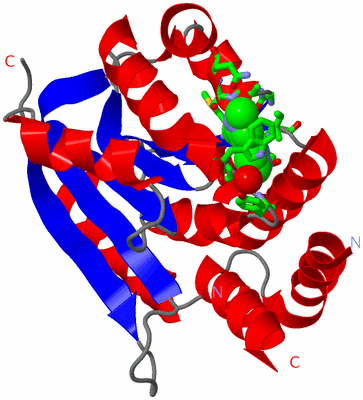 Image Asym./Biol. Unit - sites