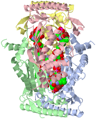 Image Asym./Biol. Unit