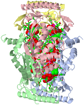 Image Asym./Biol. Unit - sites