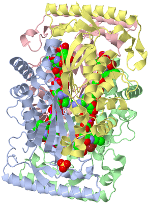 Image Asym./Biol. Unit