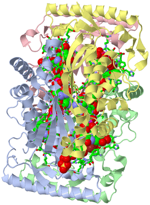 Image Asym./Biol. Unit - sites