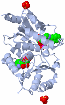 Image Biological Unit 2