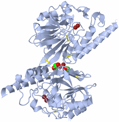 Image Biological Unit 1