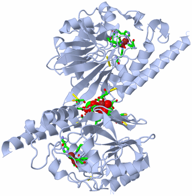 Image Biol. Unit 1 - sites