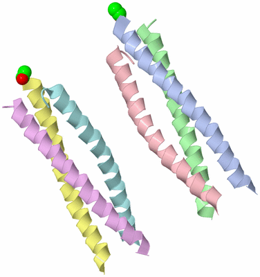 Image Asymmetric Unit