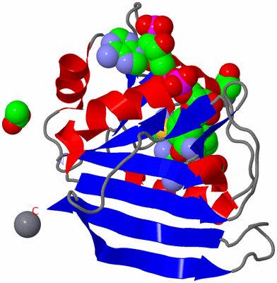 Image Asym./Biol. Unit