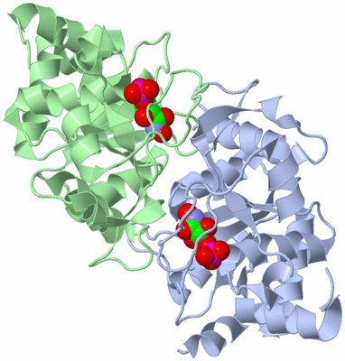 Image Asym./Biol. Unit