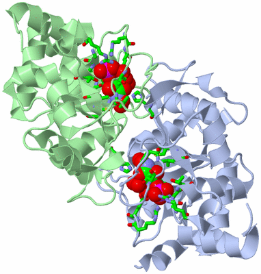 Image Asym./Biol. Unit - sites