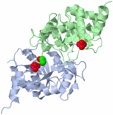 Image Asym./Biol. Unit