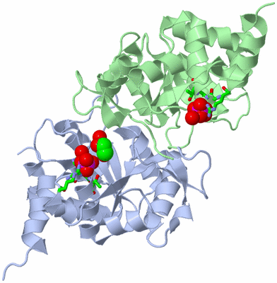 Image Asym./Biol. Unit - sites