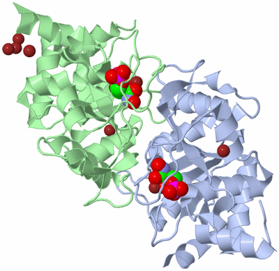 Image Asym./Biol. Unit