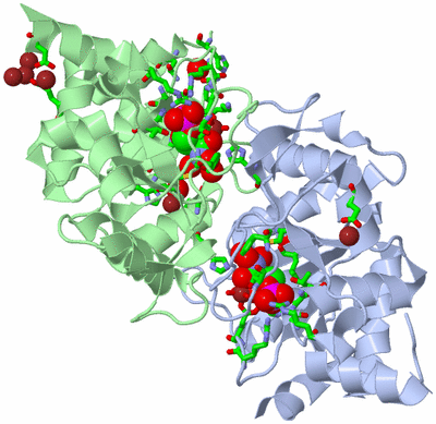 Image Asym./Biol. Unit - sites