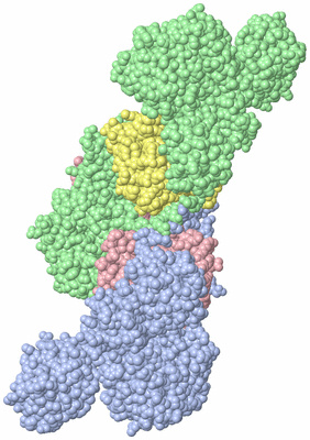 Image Asym./Biol. Unit