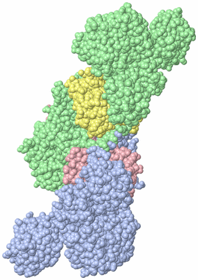 Image Asym./Biol. Unit - sites