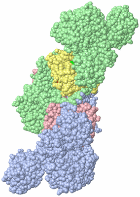 Image Asym./Biol. Unit - sites