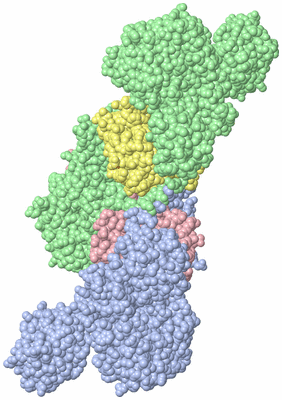 Image Asym./Biol. Unit - sites