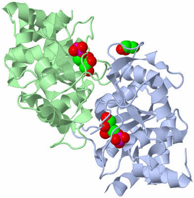 Image Asym./Biol. Unit