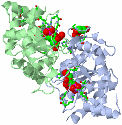 Image Asym./Biol. Unit - sites