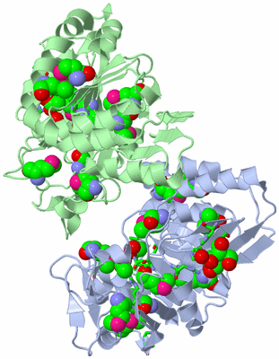 Image Asym./Biol. Unit - sites