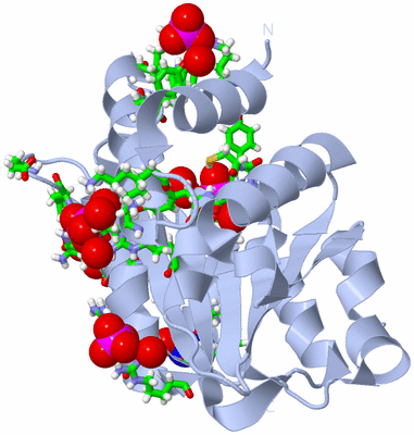 Image Biol. Unit 1 - sites