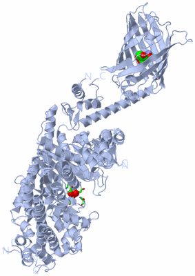 Image Biol. Unit 1 - sites