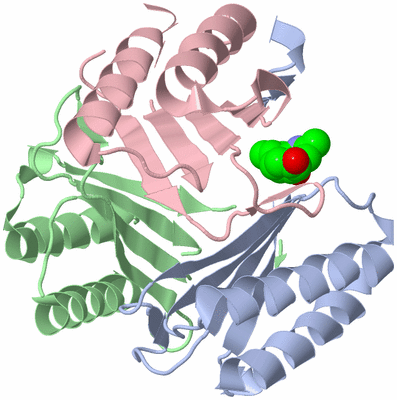 Image Biological Unit 1