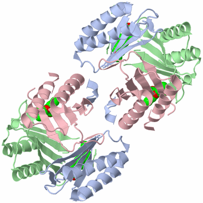 Image Biological Unit 2