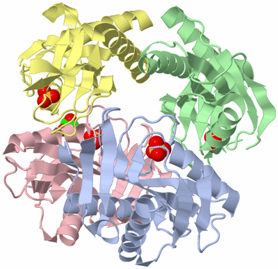 Image Asym./Biol. Unit