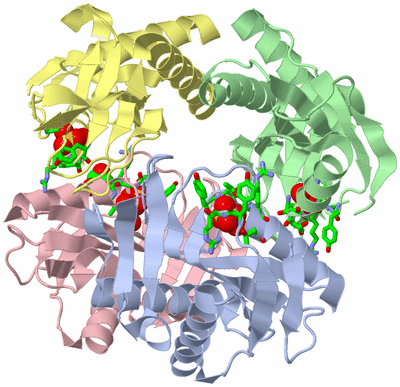 Image Asym./Biol. Unit - sites