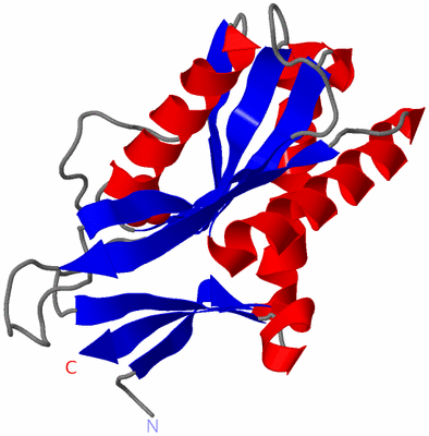 Image Asymmetric Unit