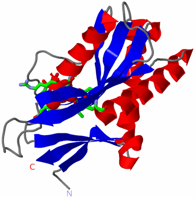 Image Asym. Unit - sites